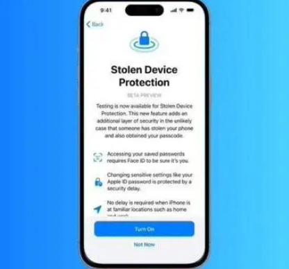 滑县苹果授权维修店分享被盗设备保护功能开启方法 