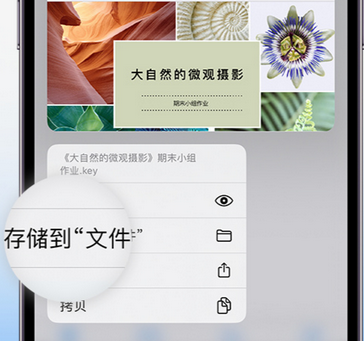 滑县apple维修中心分享iPhone文件应用中存储和找到下载文件