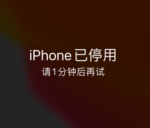 滑县苹果手机维修分享:iPhone 显示“不可用”或“已停用”怎么办？还能保留数据吗？ 