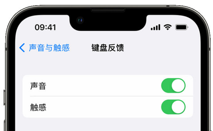 滑县苹果手机维修分享iPhone 14触感键盘使用方法 