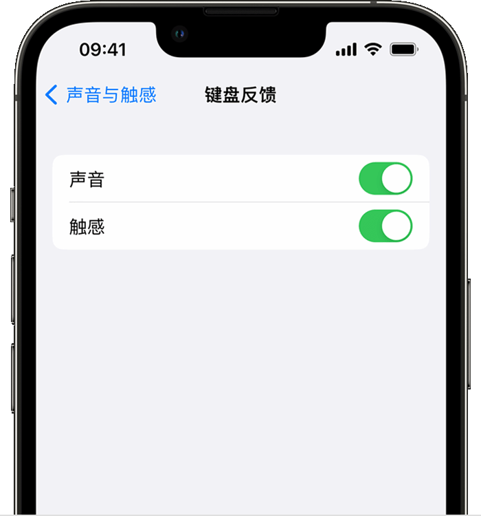 滑县苹果14维修店分享如何在 iPhone 14 机型中使用触感键盘 