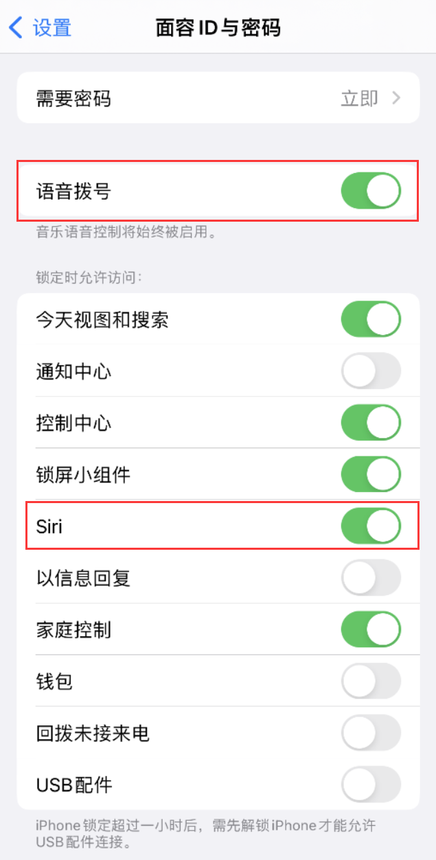 滑县苹果维修网点分享不解锁 iPhone 的情况下通过 Siri 拨打电话的方法 