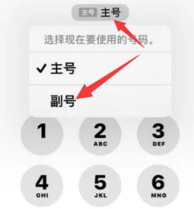 滑县苹果14维修店分享iPhone 14 Pro Max使用副卡打电话的方法 