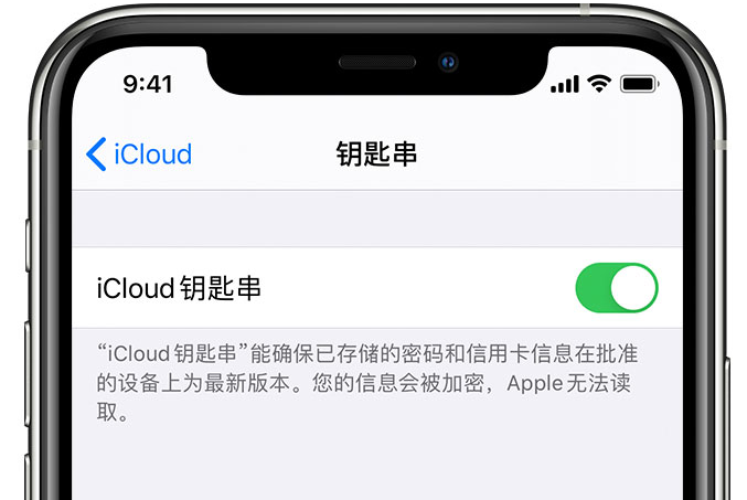 滑县苹果手机维修分享在 iPhone 上开启 iCloud 钥匙串之后会储存哪些信息 